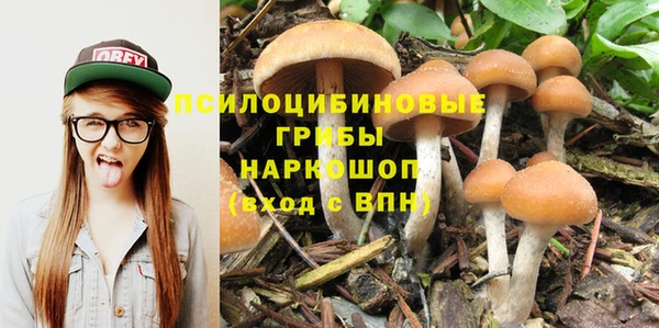 MESCALINE Инсар