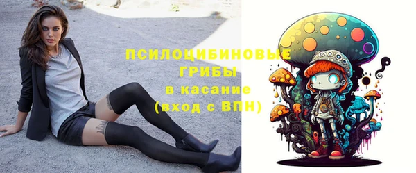 MESCALINE Инсар