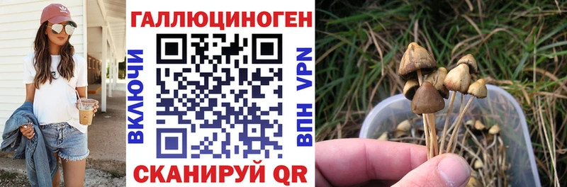 Купить  Ивантеевка  Галлюциногенные грибы прущие грибы 